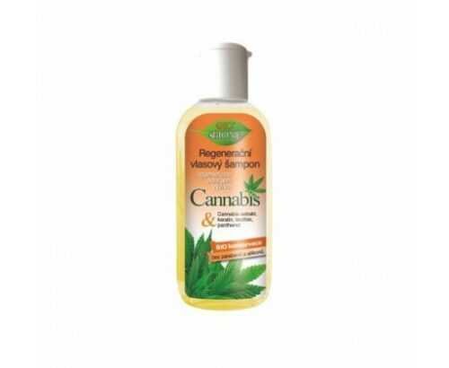 Bione Cosmetics Regenerační šampon na vlasy Cannabis  80 ml Bione Cosmetics