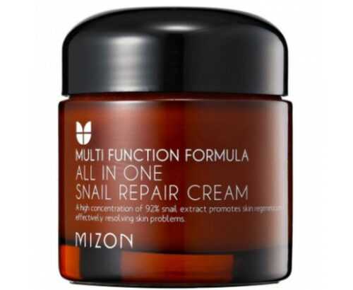 Mizon Regenerační pleťový krém s filtrátem hlemýždího sekretu 92% (All In One Snail Repair Cream) 120 ml Mizon
