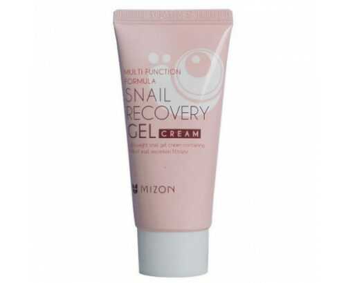 Pleťový gel s filtrátem hlemýždího sekretu 74% pro problematickou pleť (Snail Recovery Gel Cream) 45 ml Mizon