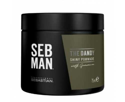 Sebastian Professional Pomáda na vlasy SEB MAN The Dandy  75 ml Sebastian Professional