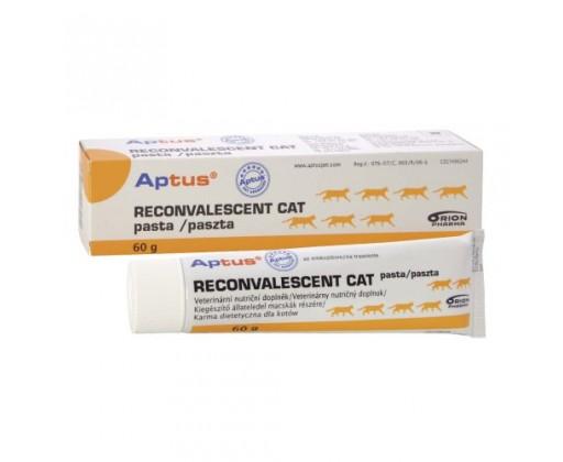Aptus Reconvalescent Cat pasta 60g Orion Pharma Animal Health