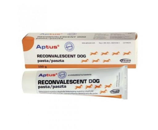 Aptus Reconvalescent Dog pasta 100g Orion Pharma Animal Health