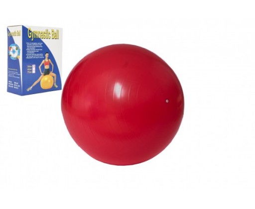Gymnastický míč 55cm rehabilitační relaxační v krabici 16x22cm UNISON