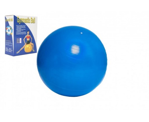 Gymnastický míč 65cm rehabilitační relaxační v krabici 16x22cm UNISON