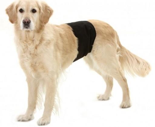 Karlie Inkontinenční kalhoty pro psy černé  40x10cm KARLIE