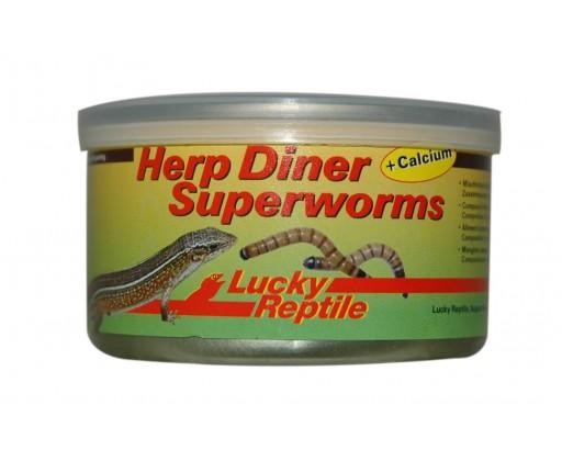 Lucky Reptile Herp Diner Superworms 35g Lucky Reptile