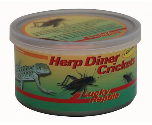 Lucky Reptile Herp Diner - cvrčci 35g 35g - velcí Lucky Reptile