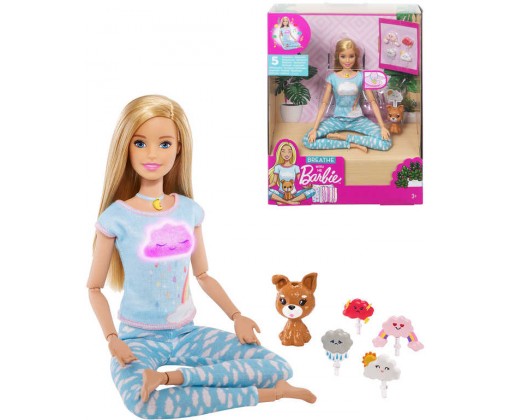 MATTEL BRB Barbie wellness a meditace set panenka s pejskem a doplňky Mattel
