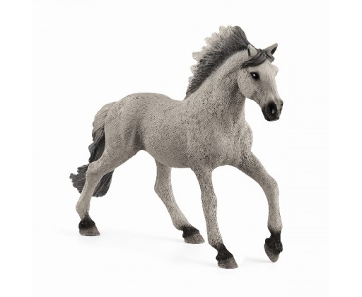 Schleich  - hřebec Sorraia Mustang Olymptoy