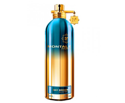 Day Dreams - EDP - TESTER 100 ml Montale