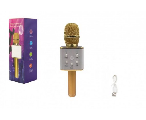 Mikrofon karaoke kov 25cm nabíjení přes USB zlatý v krabici Teddies