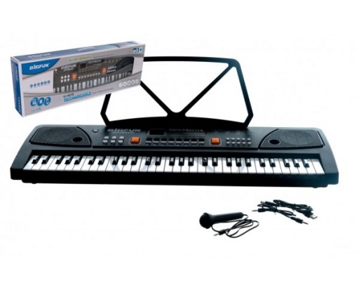 Pianko/Varhany velké plast 61 kláves 63x20cm s mikrofonem a USB na nabíjecí baterie Li-ion v krabici Teddies