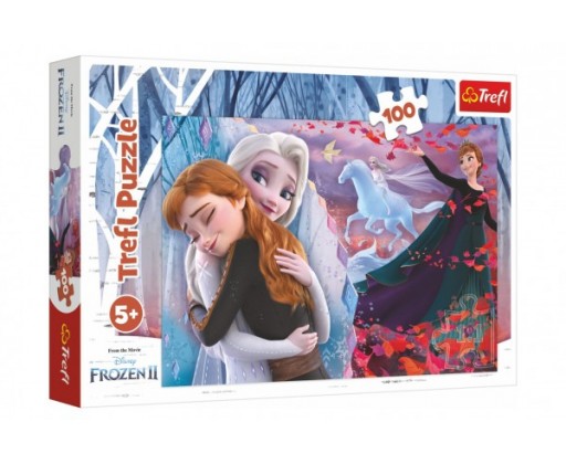 Puzzle Navždy spolu Ledové království II/Frozen II 100 dílků 41x27